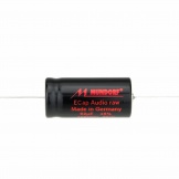ECAP100-82_r_h